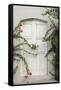 Todos Santos, Mexico. White door in a white wall partly covered with flowers.-Julien McRoberts-Framed Stretched Canvas