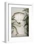 Todos Santos, Mexico. White door in a white wall partly covered with flowers.-Julien McRoberts-Framed Photographic Print