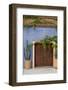 Todos Santos, Mexico. Wooden doorway in a blue stucco wall with ivy.-Julien McRoberts-Framed Photographic Print