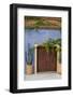 Todos Santos, Mexico. Wooden doorway in a blue stucco wall with ivy.-Julien McRoberts-Framed Photographic Print