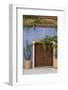 Todos Santos, Mexico. Wooden doorway in a blue stucco wall with ivy.-Julien McRoberts-Framed Photographic Print