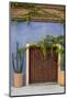 Todos Santos, Mexico. Wooden doorway in a blue stucco wall with ivy.-Julien McRoberts-Mounted Photographic Print