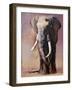 Tofauti, Chyulu Hills-Mark Adlington-Framed Giclee Print