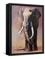 Tofauti, Chyulu Hills-Mark Adlington-Framed Stretched Canvas