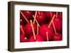 Toffee Apples, Christmas Market, Dortmund, North Rhine-Westphalia, Germany, Europe-Frank Fell-Framed Photographic Print