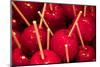 Toffee Apples, Christmas Market, Dortmund, North Rhine-Westphalia, Germany, Europe-Frank Fell-Mounted Photographic Print