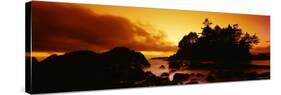 Tofino at Sunset, Vancouver Island, British Columbia, Canada-null-Stretched Canvas