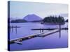 Tofino, Vancouver Island, British Columbia (B.C.), Canada, North America-Rob Cousins-Stretched Canvas