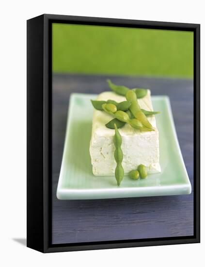 Tofu and Soybeans-Leigh Beisch-Framed Stretched Canvas