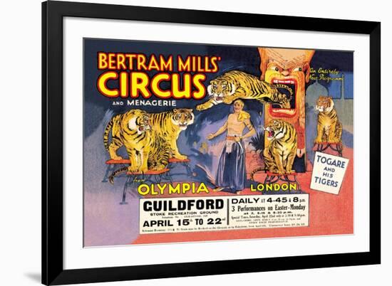 Togare and his Tigers: Bertram Mills' Circus and Menagerie-null-Framed Art Print