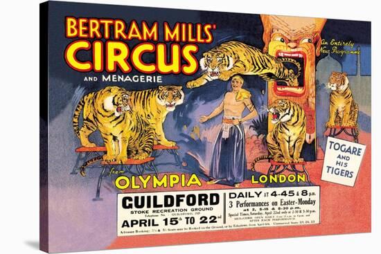 Togare and his Tigers: Bertram Mills' Circus and Menagerie-null-Stretched Canvas