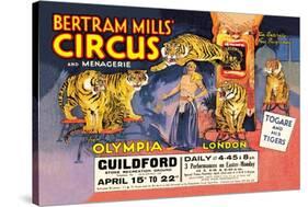 Togare and his Tigers: Bertram Mills' Circus and Menagerie-null-Stretched Canvas