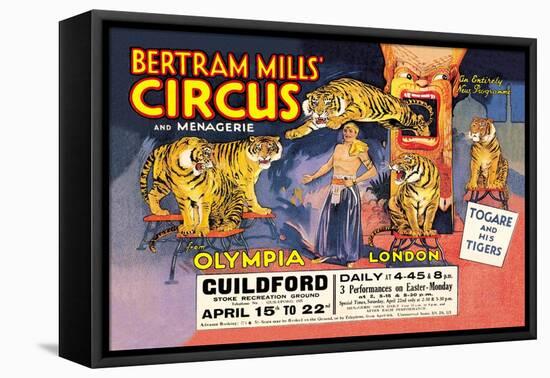 Togare and his Tigers: Bertram Mills' Circus and Menagerie-null-Framed Stretched Canvas