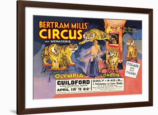 Togare and his Tigers: Bertram Mills' Circus and Menagerie-null-Framed Premium Giclee Print