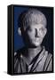 Togate Statue of the Young Nero, Front View of the Head, C.50 Ad (Marble) (Detail of 140378)-Roman-Framed Stretched Canvas