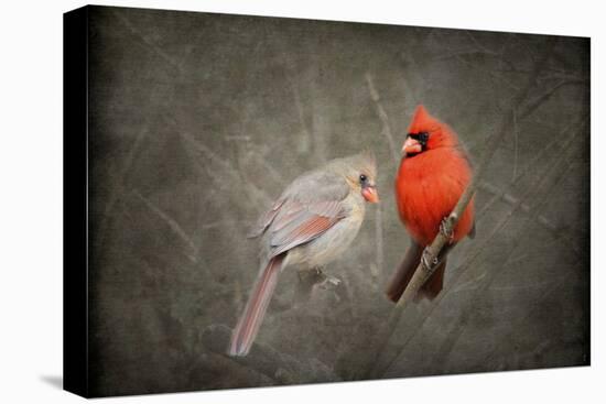 Together Again-Jai Johnson-Stretched Canvas