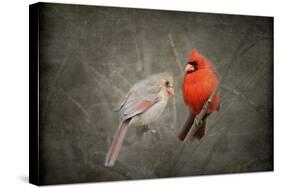 Together Again-Jai Johnson-Stretched Canvas