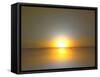 Together at Sundown-Kenny Primmer-Framed Stretched Canvas