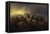 Together Through the Storms-Jai Johnson-Framed Stretched Canvas