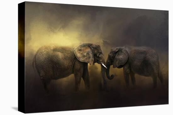 Together Through the Storms-Jai Johnson-Stretched Canvas