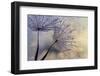 Together-Heidi Westum-Framed Photographic Print