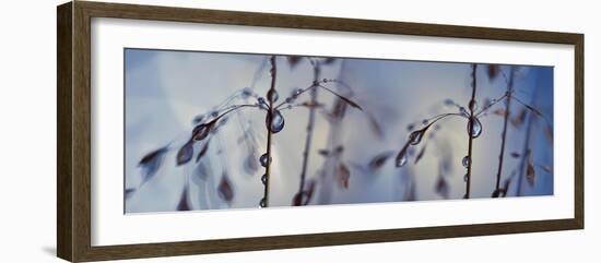 Togetherness-Heidi Westum-Framed Photographic Print