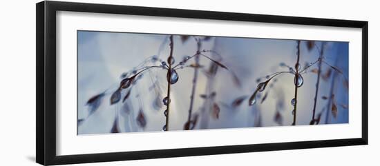 Togetherness-Heidi Westum-Framed Photographic Print