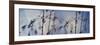 Togetherness-Heidi Westum-Framed Photographic Print