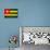 Togo Flag Design with Wood Patterning - Flags of the World Series-Philippe Hugonnard-Art Print displayed on a wall