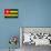 Togo Flag Design with Wood Patterning - Flags of the World Series-Philippe Hugonnard-Stretched Canvas displayed on a wall