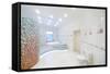Toilet and Jacuzzi in Spacious White Bathroom with Tiles with Poppies.-Paha_L-Framed Stretched Canvas