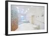 Toilet and Jacuzzi in Spacious White Bathroom with Tiles with Poppies.-Paha_L-Framed Photographic Print