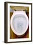 Toilet Being Flushed-Victor De Schwanberg-Framed Premium Photographic Print