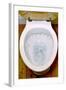 Toilet Being Flushed-Victor De Schwanberg-Framed Premium Photographic Print