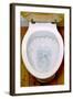 Toilet Being Flushed-Victor De Schwanberg-Framed Premium Photographic Print