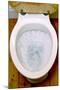 Toilet Being Flushed-Victor De Schwanberg-Mounted Premium Photographic Print