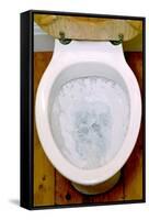 Toilet Being Flushed-Victor De Schwanberg-Framed Stretched Canvas