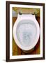 Toilet Being Flushed-Victor De Schwanberg-Framed Photographic Print