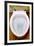 Toilet Being Flushed-Victor De Schwanberg-Framed Photographic Print