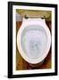 Toilet Being Flushed-Victor De Schwanberg-Framed Photographic Print