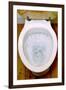 Toilet Being Flushed-Victor De Schwanberg-Framed Photographic Print