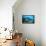 Toilet Bowl Resting on Coral Reef in Dominican Republic-Paul Souders-Framed Stretched Canvas displayed on a wall