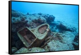 Toilet Bowl Resting on Coral Reef in Dominican Republic-Paul Souders-Framed Stretched Canvas