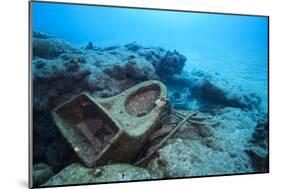 Toilet Bowl Resting on Coral Reef in Dominican Republic-Paul Souders-Mounted Photographic Print