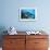 Toilet Bowl Resting on Coral Reef in Dominican Republic-Paul Souders-Framed Photographic Print displayed on a wall