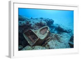 Toilet Bowl Resting on Coral Reef in Dominican Republic-Paul Souders-Framed Photographic Print