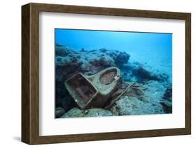 Toilet Bowl Resting on Coral Reef in Dominican Republic-Paul Souders-Framed Photographic Print