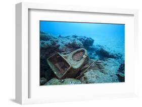 Toilet Bowl Resting on Coral Reef in Dominican Republic-Paul Souders-Framed Photographic Print