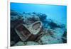 Toilet Bowl Resting on Coral Reef in Dominican Republic-Paul Souders-Framed Photographic Print