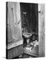 Toilet in Outhouse in Slum Area a Few Blocks from the Capital in Washington, Dc-Carl Mydans-Stretched Canvas
